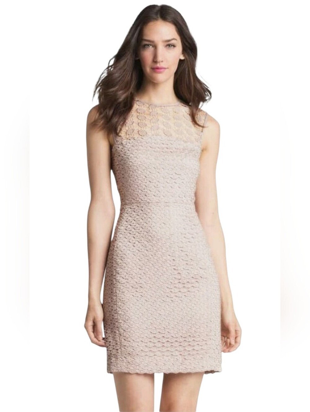 Nwt Diane Von Furstenberg Kinchu Sg Taupe Lace Sleeveless Sheath Dress